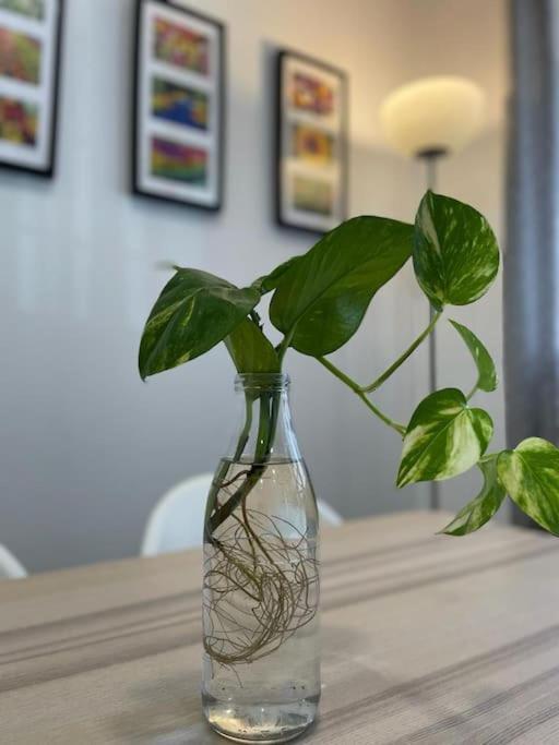 Apartamento La Puerta De La Axerquia Parking Y Wifi Gratis